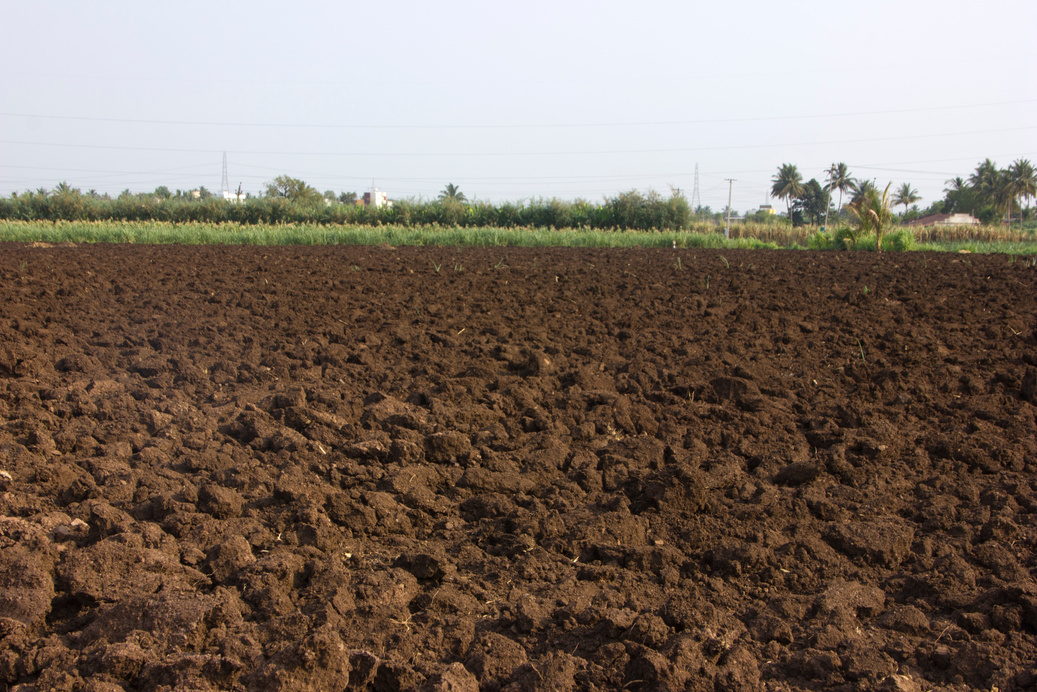soil